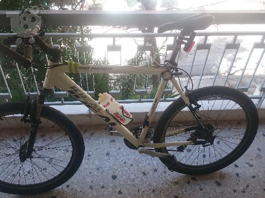 PoulaTo: IDEAL PRO RIDER TURING !